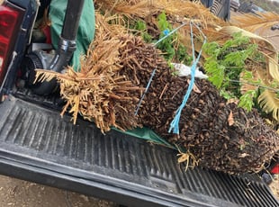 Cleanups by Daniel Mora for Erica P. in Cibolo, TX