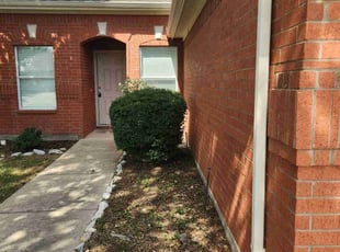 Bush Trimming by Jason Williams for Leasing T. in Fort Worth, TX
