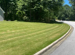 Veronica P.'s Lawn Service service result