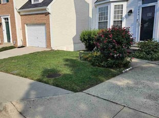 Hafiza E.'s Lawn Service service result