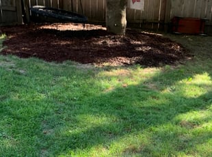 Mulching by Kelvin Dertz for Matt J. in Milwaukee, WI