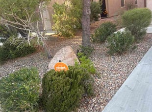Cleanups by Jaime Sanchez-perez for Bonnie J. in Las Vegas, NV