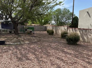 Leaf Removal by Manuel Lucero for Ilene L. in Albuquerque, NM