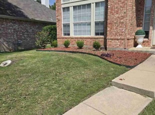 Weeding by Michael Gill for Sylvia B. in Lewisville, TX