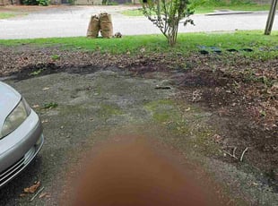 Cleanups by Cory Griffin for Christopher S. in Gainesville, FL