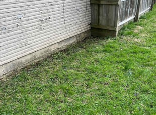 Cleanups by Richard Taylor for Valerie D. in Dayton, OH