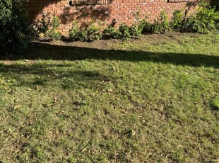 Leaf Removal by Casey Wehring for Craig R. in Southaven, MS