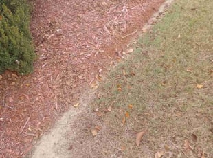 Weeding by Christopher Webb for Hedrick W. in Baton Rouge, LA