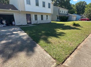 Luciano R.'s Lawn Mowing service result