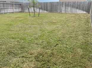 Leaf Removal by Edward Francis for Jasmine W. in San Antonio, TX