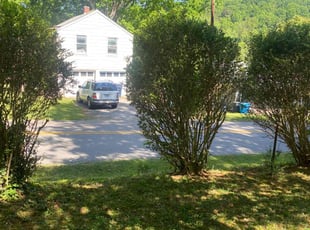 Bush Trimming by Dimitruis Casey for Rhonda F M. in Roanoke, VA