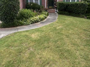 Bush Trimming by William Akins for Anthony C. in Grayson, GA