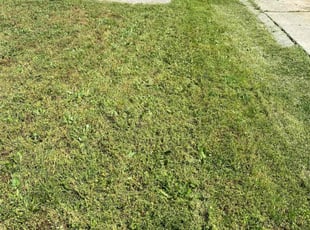 Cleanups by Eduardo Flores for Mia C. in Los Angeles, CA