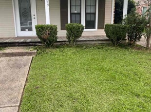 Bush Trimming by Daryl Carter for Mary W. in Baton Rouge, LA