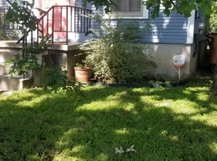 Leaf Removal by Graham Carruthers for Jonnie R. in Austin, TX