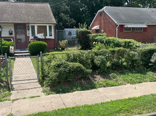 Bush Trimming by James Mozelle for barbara g. in Hampton, VA