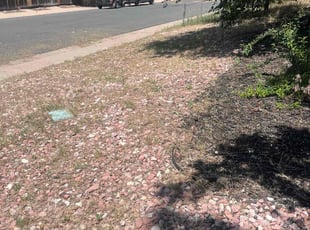 Cleanups by Sheila Clark for Shivonne H. in Denver, CO