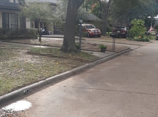 Leaf Removal by Roderick Green for Connie B. in Houston, TX