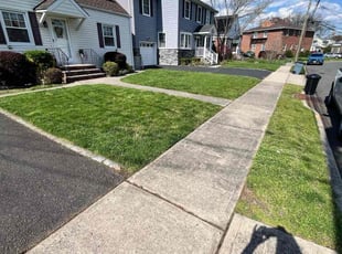 Sagar N.'s Lawn Service service result