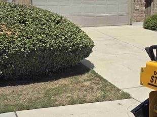John F.'s Grass Cutting service result