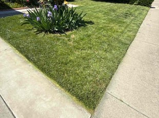 Lee W.'s Grass Cutting service result