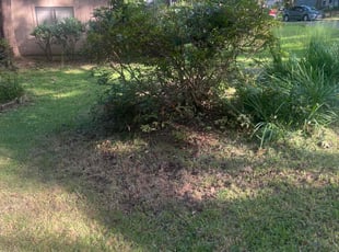 Bush Trimming by Oscar McGee for Glenn F. in Tallahassee, FL