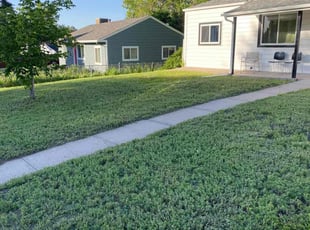 Cleanups by Jonah Fussman for Phil H. in Denver, CO