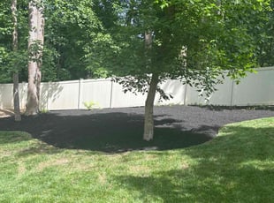Landscaping by candelario castillo for Etomgi O. in McLean, VA