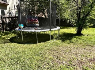 Leaf Removal by Holly Nugent St Aubin for Cain B. in Lafayette, LA
