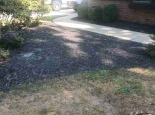 Leaf Removal by Michael Ellick for Anthony M. in Voorhees Township, NJ
