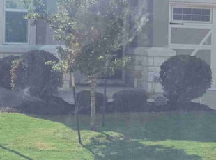 Mulching by Rene Andrade for Hugo C. in Hutto, TX