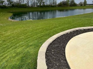 Sonja S.'s Lawn Care service result
