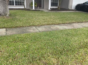 Leaf Removal by William Thayer for Thurston J. in Tampa, FL