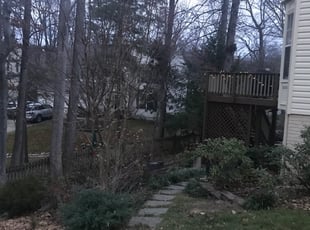 Leaf Removal by Harold Guzman for Mara M. in Dumfries, VA