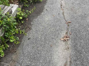Leaf Removal by Carol Hughes for Mary M. in Worcester, MA