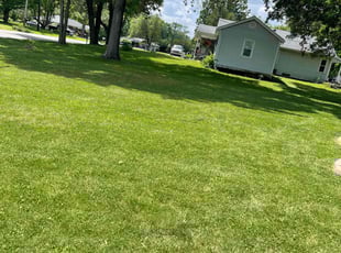 Linda C.'s Grass Cutting service result