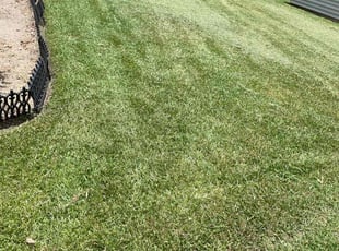 Mariam K.'s Lawn Mowing Service service result