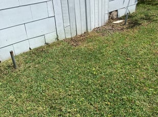 Cleanups by Anthony Bartell for Dakota M. in Portsmouth, VA