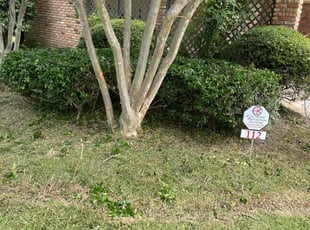 Bush Trimming by Andre Mouton for Shamica L. in Lafayette, LA