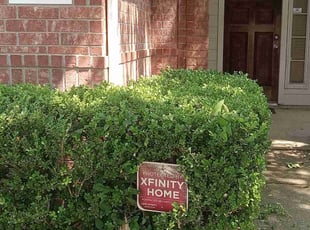 Bush Trimming by Carina Perez for Yolanda B. in Cypress, TX
