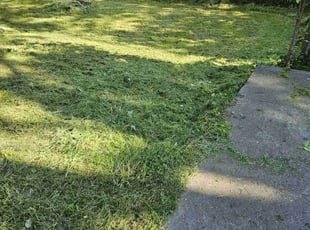Masoud I.'s Grass Cutting service result