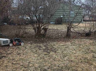 Cleanups by Cisco Harris for Ethan J. in Kansas City, MO