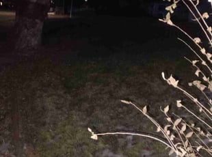 Cleanups by Jerry Hamilton for Clifford C. in Denver, CO