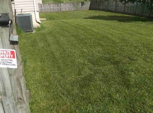 Estella A.'s Lawn Maintenance service result
