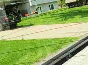 Steven F.'s Lawn Mowing Service service result