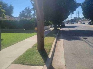 Susan V.'s Lawn Service service result