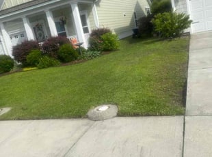 Bush Trimming by Don'Trayvis Vaught for Miguel P. in Myrtle Beach, SC