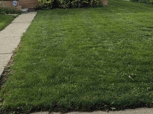 Deanna N.'s Lawn Service service result