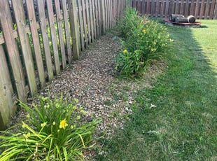 Weeding by Brandon Fiala for Kelly F. in Saint Charles, MO