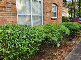 Bush Trimming by Isaiah Cuthbertson for Regina Y. in Charlotte, NC